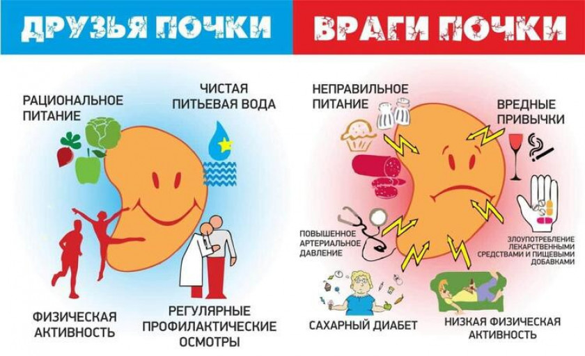 Пиелонефрит - Изображение 3