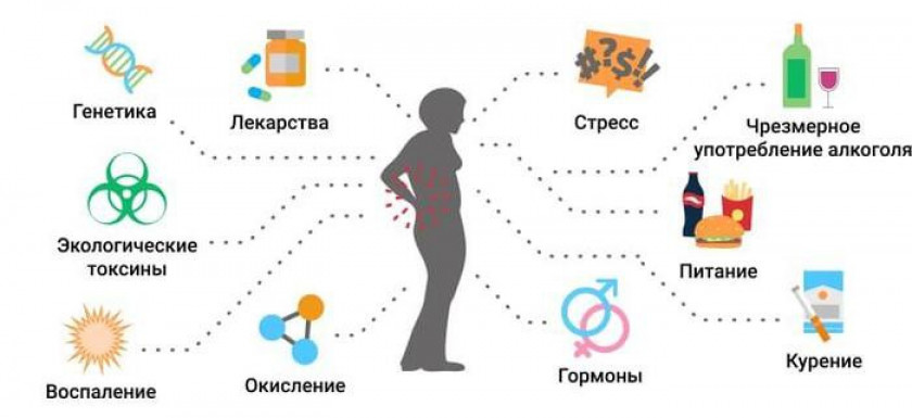 Остеопороз - Изображение 2