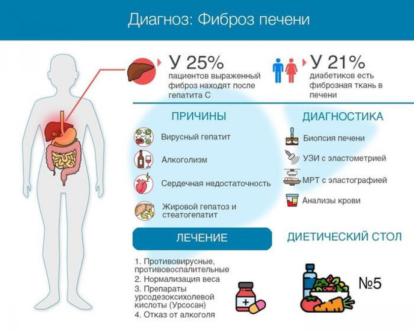 Фиброз - Изображение 3